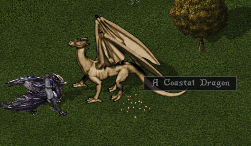Riding Dragon